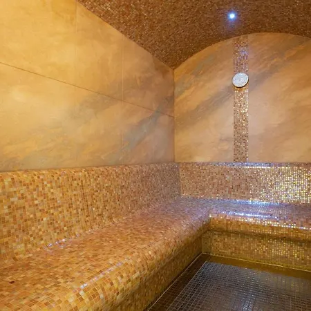 Hotell Aplend Wellness Borovica