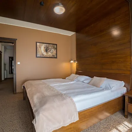Aplend Wellness Borovica Готель 4*