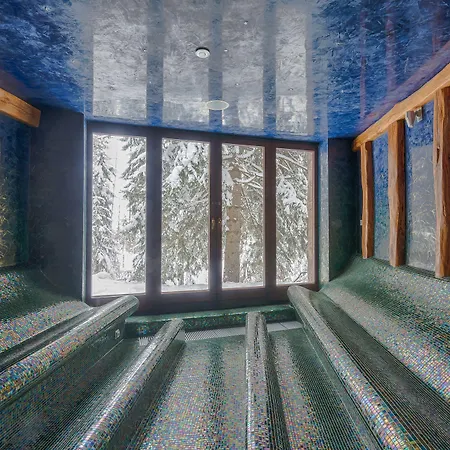 Szálloda Aplend Wellness Borovica 4*