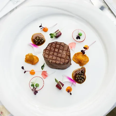 ホテル Aplend Wellness Borovica 4*